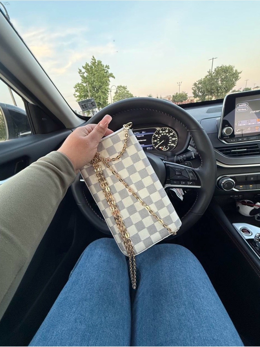 Classic Ivory Check Chain Shoulder Bag